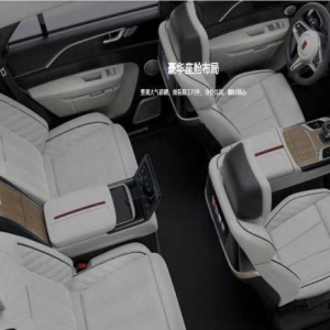 HONGQI E-HS9/FAW Hongqi HONGQI E-HS9