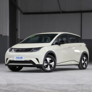 dolphin 2023 model 420km free version