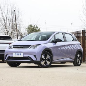 dolphin 2023 model 420km fashion version