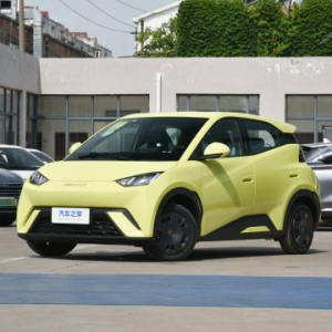 Seagull 2023 dynamic version