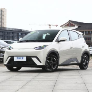 Seagull 2023 flying version