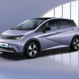 BYD 2023 Dolphin