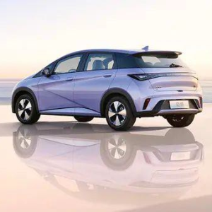 BYD 2023 Dolphin