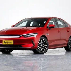 EV 610/BYD Qin plus 2023 Champion